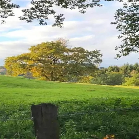 Spacious Cottage, Cleaning Included Holiday home *